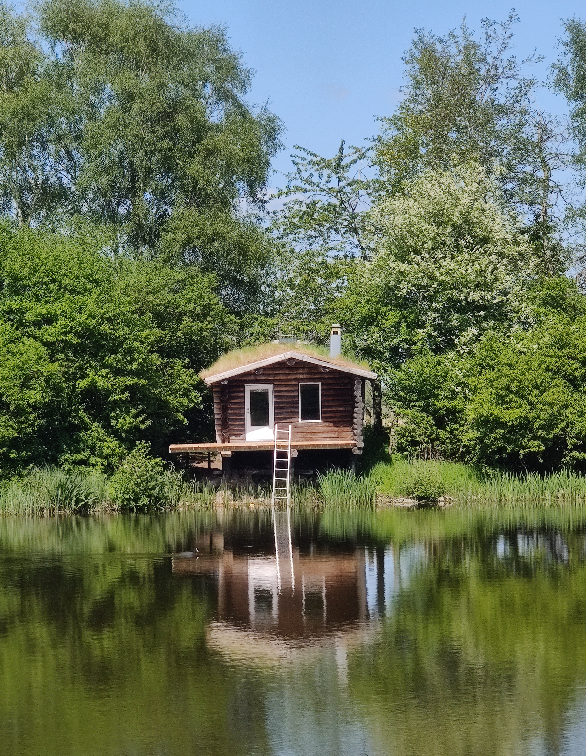 bjælke sauna med græs på taget ved sø