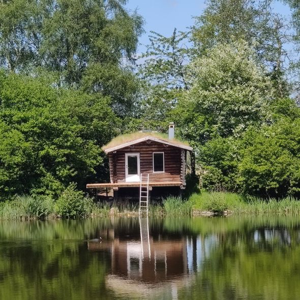 bjælke sauna med græs på taget ved sø